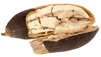 Polvere di baobab