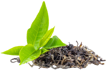 Tè verde