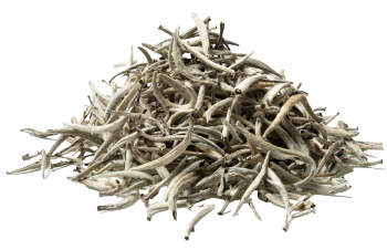 Tè bianco
