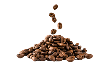 Caffè istantaneo (Coffea arabica L.)
