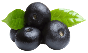 Bacche di acai