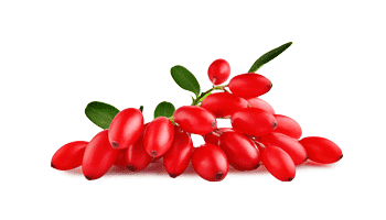 Rebersa ® (estratto di berberina)