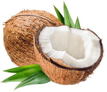 Polvere per bevanda al cocco