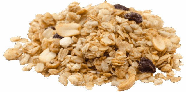 Granola ai quattro semi