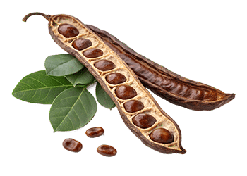 Estratto di carruba